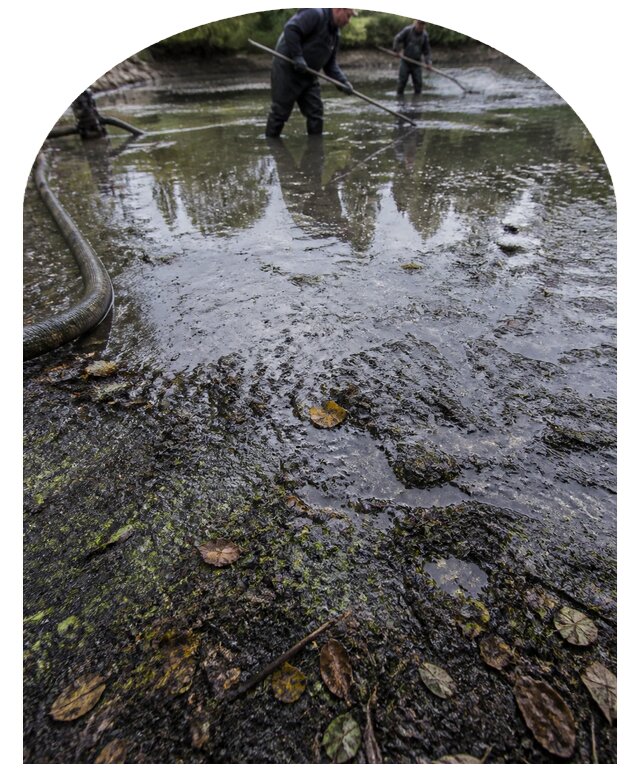 Очистка пруда в Тюмени от ила мусора и водорослей с вывозом